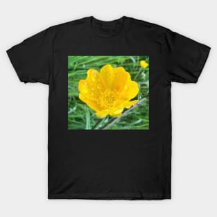 Truthful Yellow ButterCup in the Rain T-Shirt